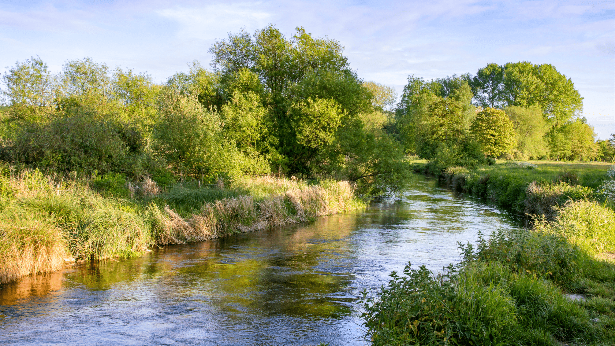 A photo of a river in Hampshire cutting through a field